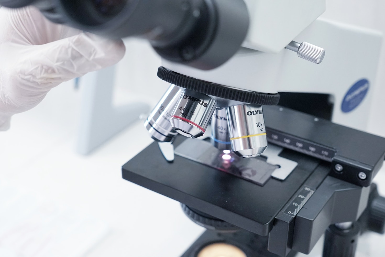 Empowering Scientists with Biological Data Insights